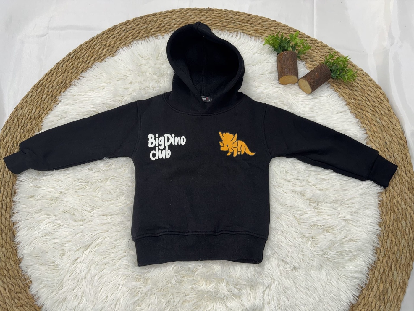 Big Dino Club Hoodie Black - Boy (Science Fair Back Print)-10